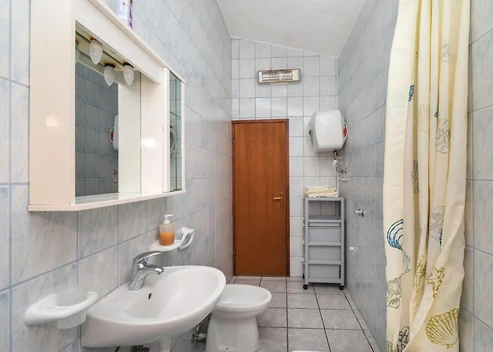 Sinisa רוגוזניצה