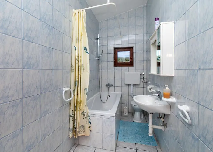 Sinisa רוגוזניצה