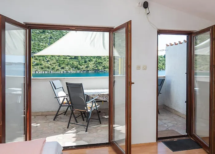 Sinisa רוגוזניצה