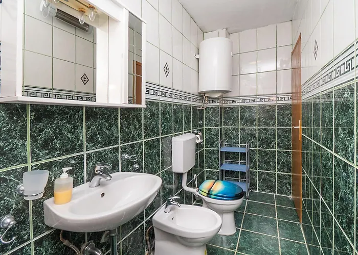 Sinisa רוגוזניצה